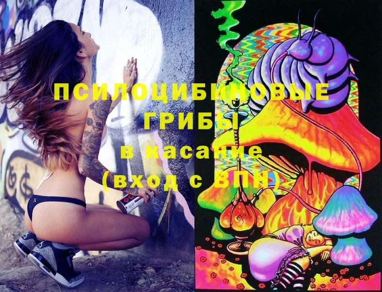 Псилоцибиновые грибы MAGIC MUSHROOMS  Губкин 